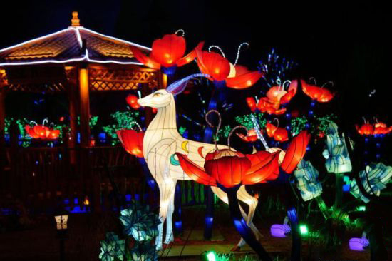 1578303830106667.jpg 00300535918_fd45df09.jpg