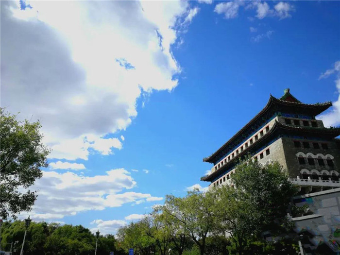 1586511689124800.jpg 2.jpg