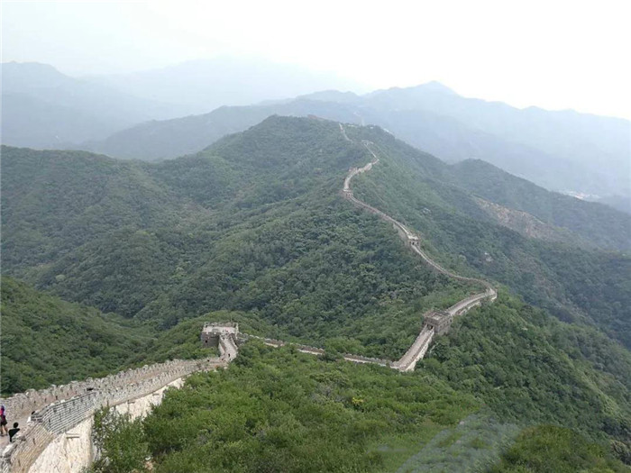 1586511792345932.jpg 3.jpg