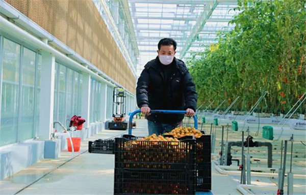 1588153058126337.jpg 3.jpg