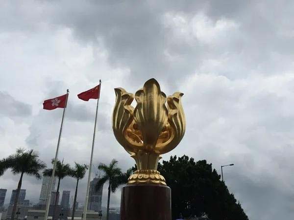 1593596502688422.jpg 1.jpg