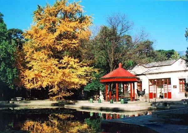 1594892825538370.jpg 3.jpg