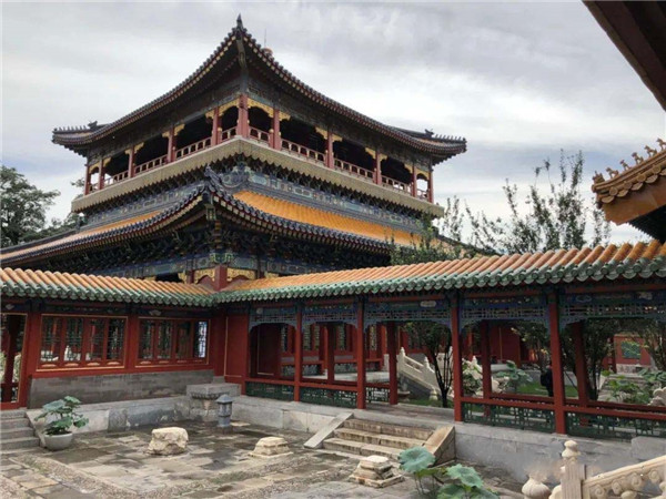 1596014885423389.jpg 8.jpg