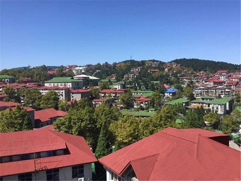 1597656993116710.jpg 1.jpg