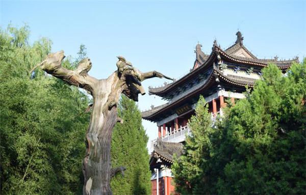 1610963838709034.jpg 20210118_175053_008.jpg