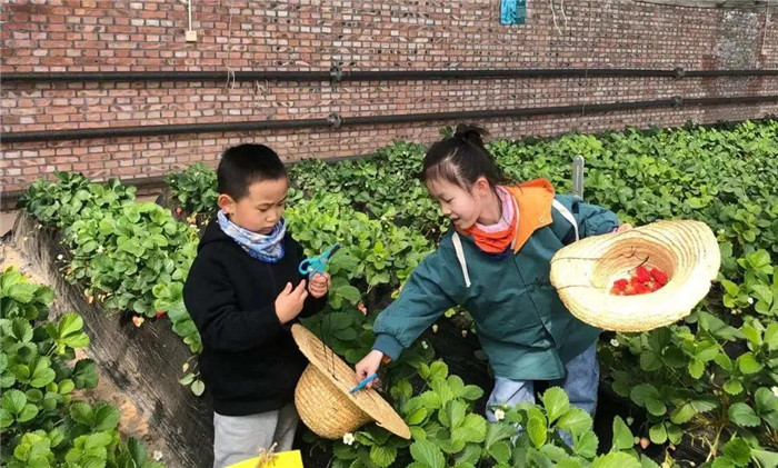 1622259579771129.jpg 微信圖片_20210529113530.jpg