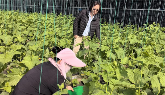 1745312503916146.png 222.png