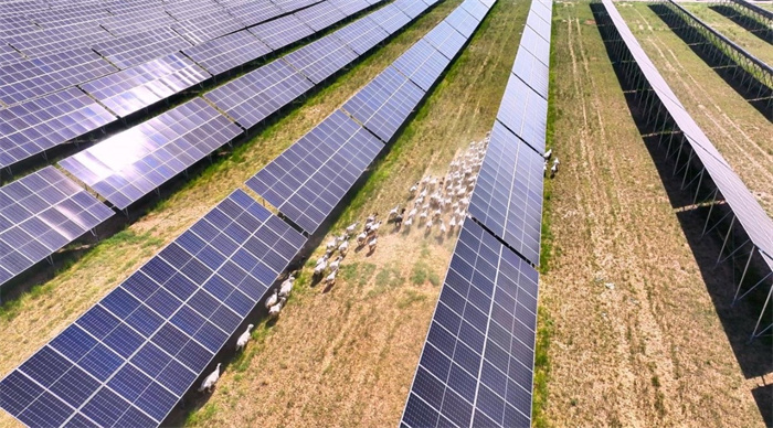 1747365427438795.jpg 33.jpg