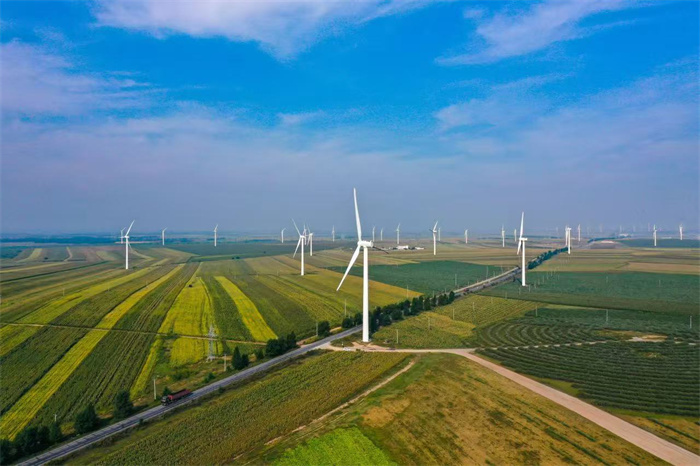 1747708255599863.jpg 3.jpg