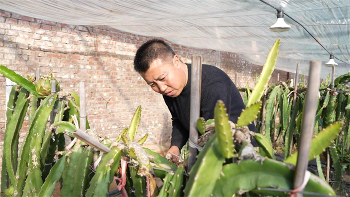 1747708349982372.png 11.png