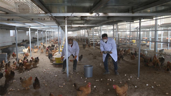 1747708354660408.png 22.png