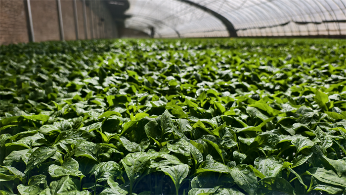 1747968674108302.png 3.png