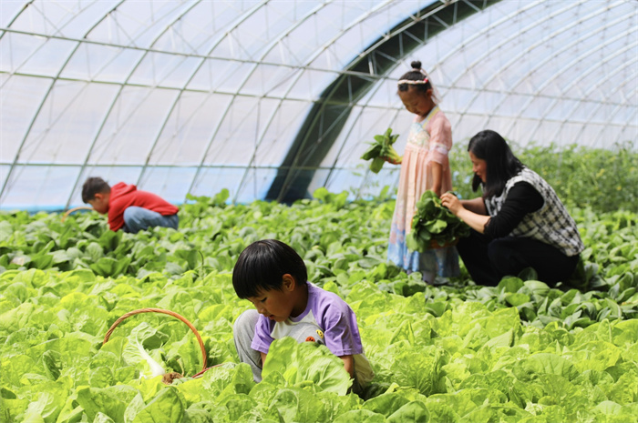 1748484889756283.jpg 22.jpg