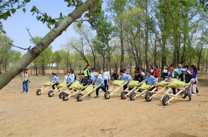 1748484895583726.jpg 33.jpg