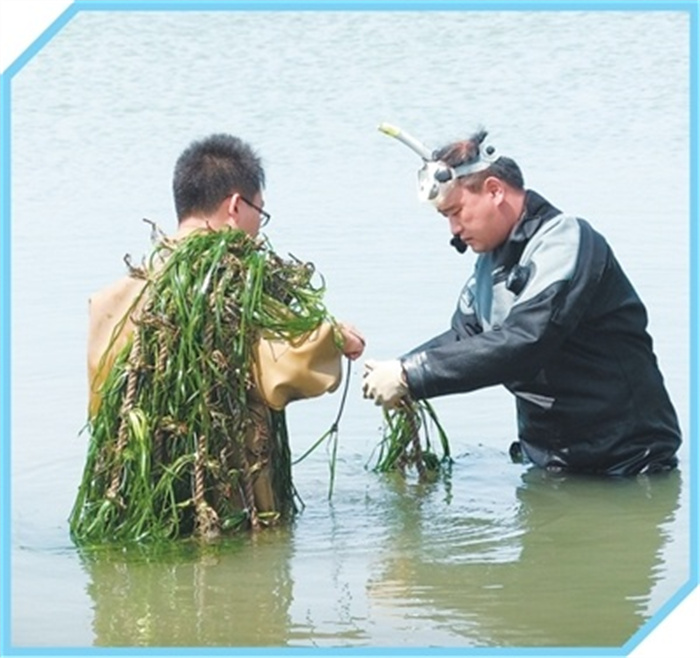 1749459753739458.jpg 2.jpg